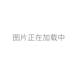 QUINTIX224-1CN電子天平